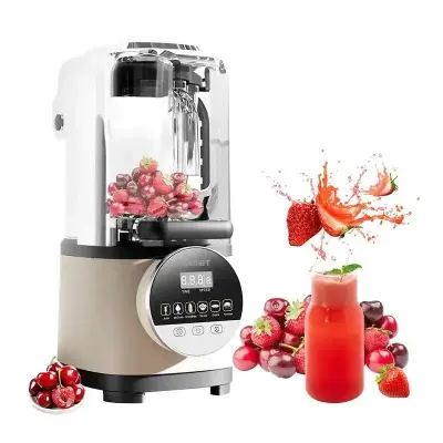 Vosco HS-213C Pro Silent Gürültü Önleyici Kapaklı Dijital Bar Blender, 2 Lt, 2000 W, Gri - 3